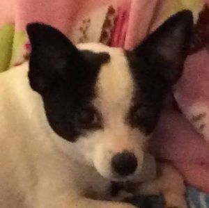 Meet your Posher, Janice